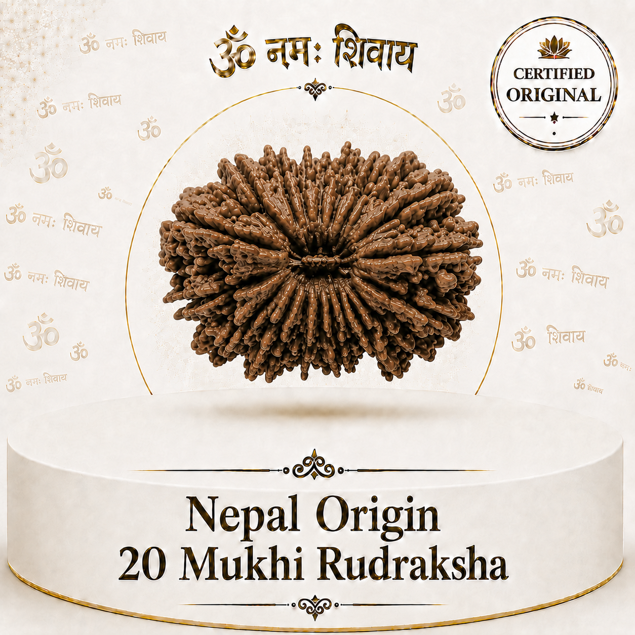 20 Mukhi Rudraksha (Nepal Origin)